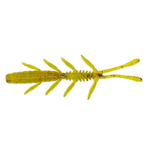 Bug-28-1.jpg